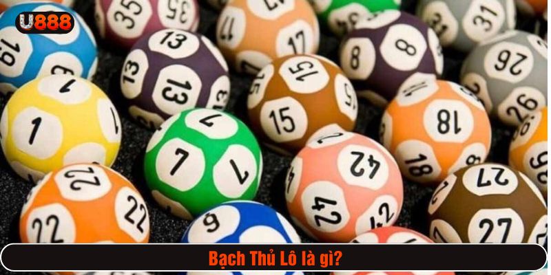 Bạch Thủ Lô là chọn một con số duy nhất từ 00 đến 99 để cược