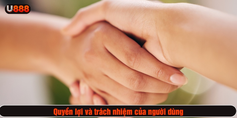 Quyền lợi và trách nhiệm của người dùng