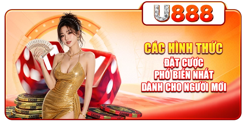 Các Hình Thức Đặt Cược Phổ Biến Nhất Dành Cho Người Mới