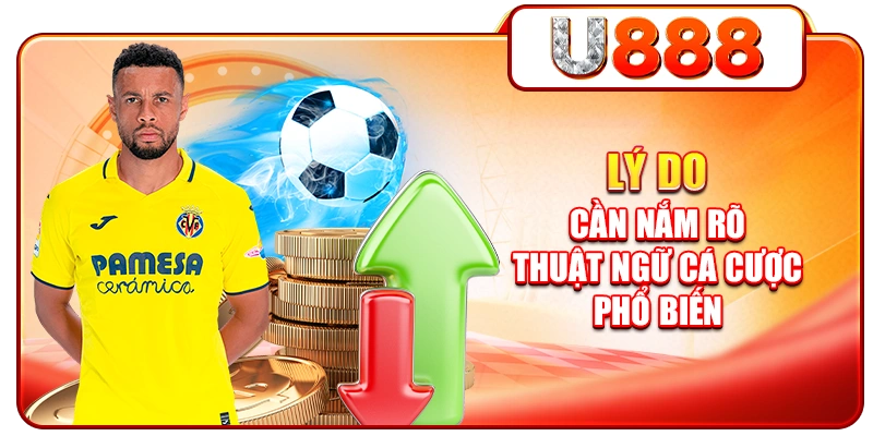Lý do cần nắm rõ thuật ngữ cá cược phổ biến