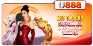 Mẹo Cá Cược Cho Người Mới | Bí Kíp Khởi Đầu Thuận Lợi