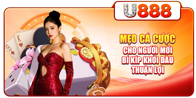 Mẹo Cá Cược Cho Người Mới | Bí Kíp Khởi Đầu Thuận Lợi